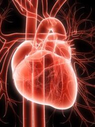 Sistema cardio vascular e hipertensão